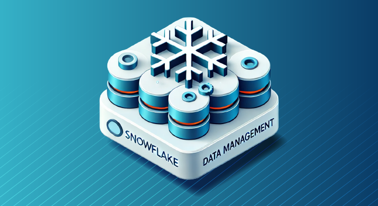 Snowflake Data Management