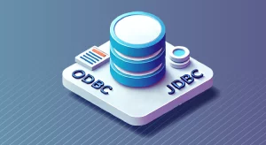 What are ODBC and JDBC