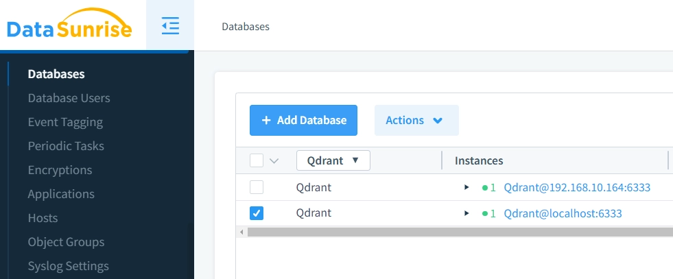 Connected Qdrant Instances in DataSunrise