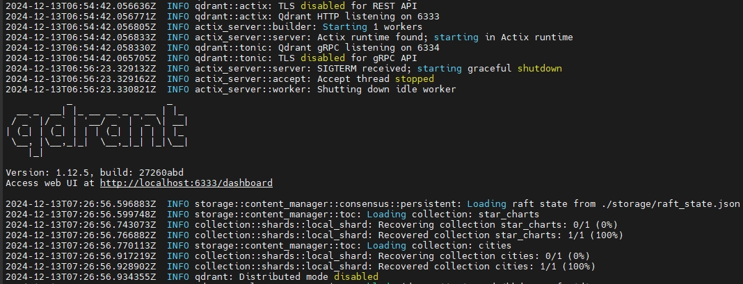 Qdrant System Logs Output