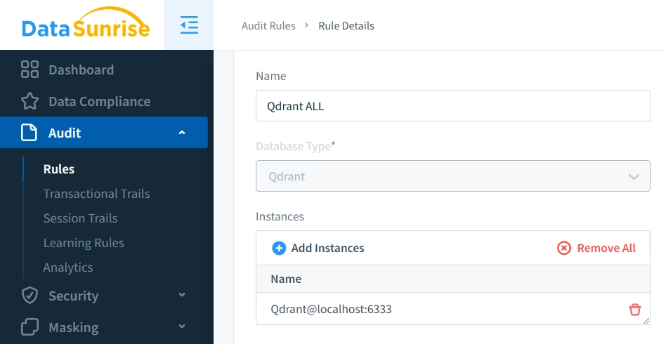 Qdrant Audit Rule Creation in DataSunrise