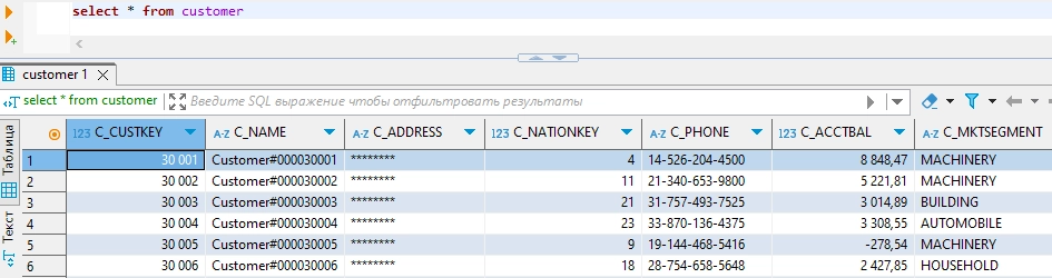 Example of Masked Data Output in DataSunrise