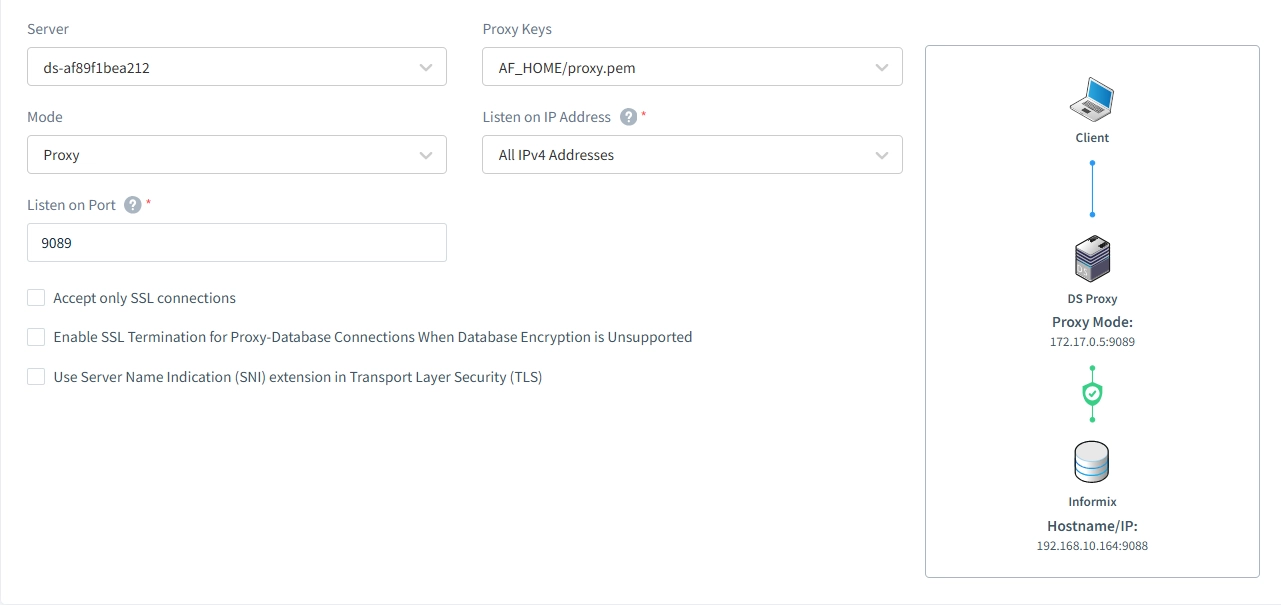 Verbinden einer Informix-Instanz mit DataSunrise