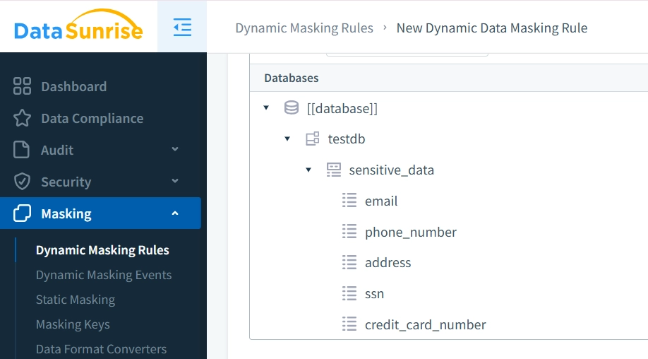 Erstellung dynamischer Datenmaskierungsregeln in DataSunrise für die Informix-Datenaktivitätshistorie